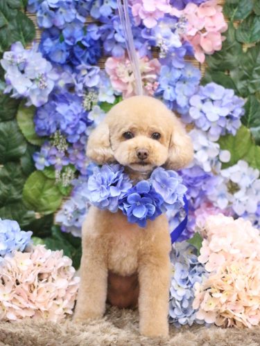 20250603めるちゃん